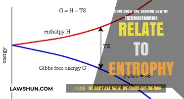 Entropy's Arrow: Understanding Thermodynamics' Second Law in Energy Systems