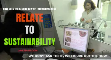 Thermodynamics and Sustainability: Understanding Entropy's Role in a Finite World