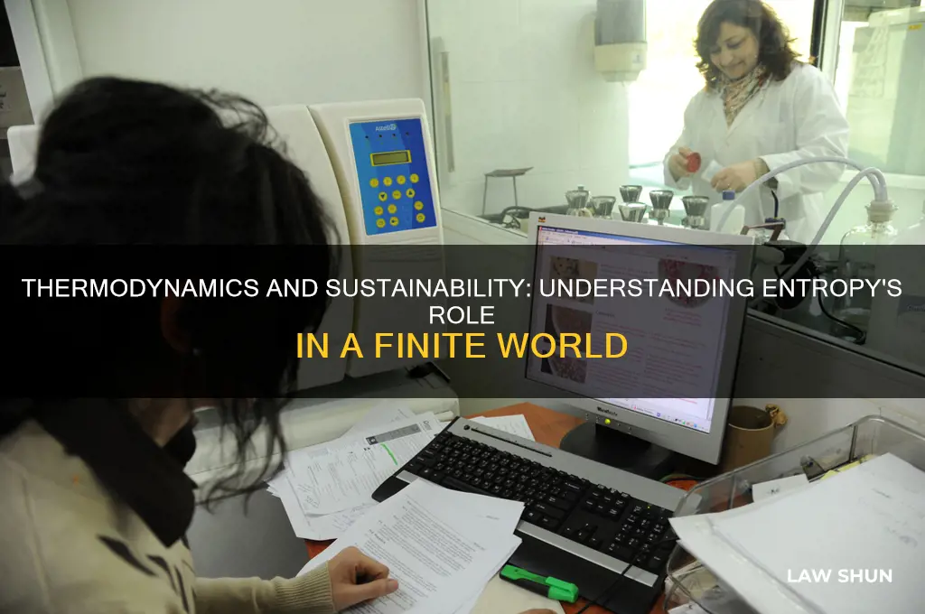 how does the second law of thermodynamics relate to sustainability