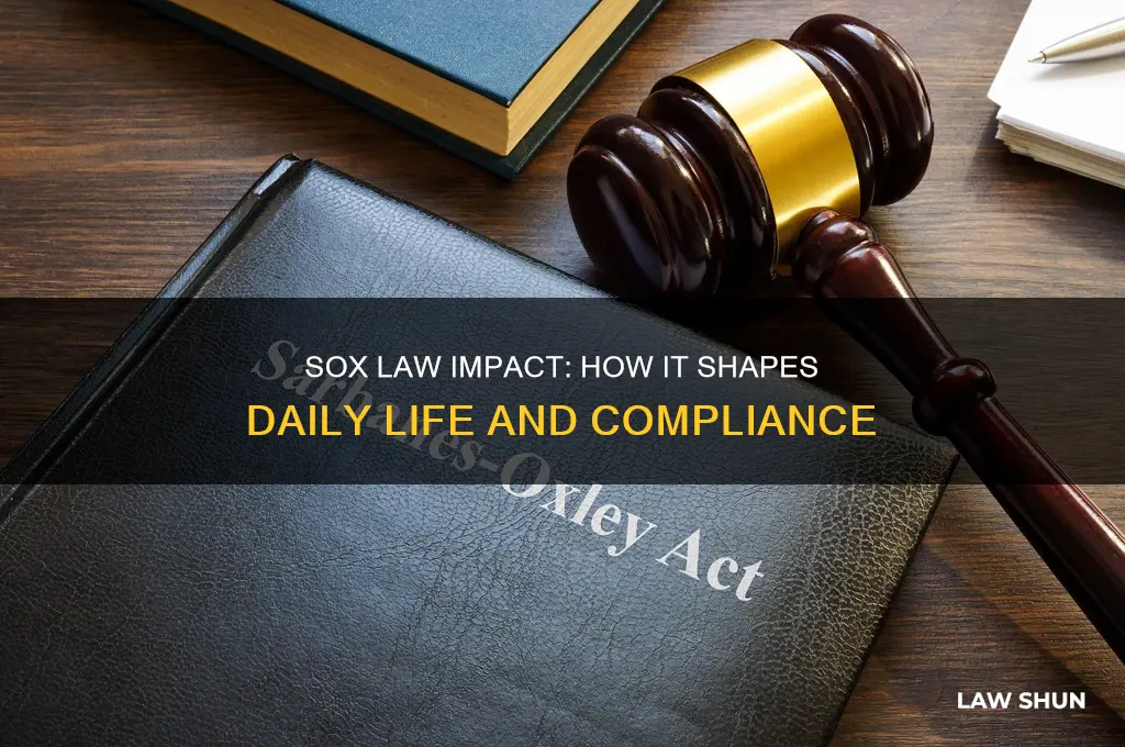 how does the sox law affect people