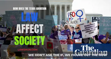 Texas Abortion Law: Impact on Society and Future Implications