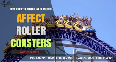 Newton's Third Law: How Roller Coasters Harness Action and Reaction