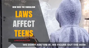Understanding Vandalism Laws: Impact on Teen Behavior and Legal Consequences