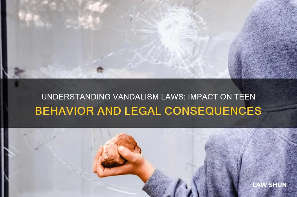 how does the vandalism laws affect teens
