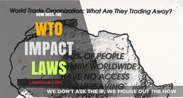 Navigating Global Trade: The WTO's Influence on National Laws