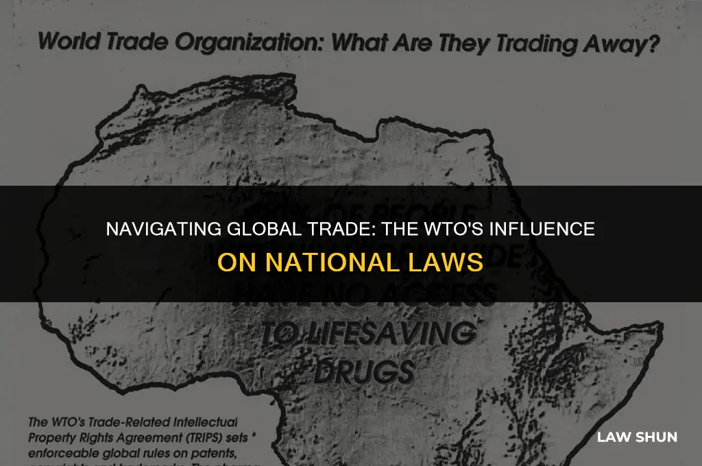 how does the wto impact laws