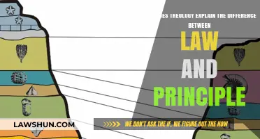 Theology: Unlocking Law and Principle Understanding