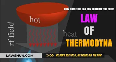 Understanding the First Law with Hands-On Experiments