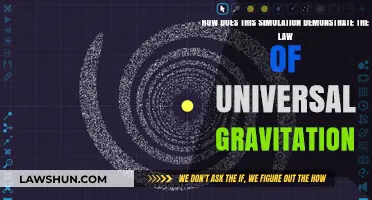 Gravity's Law: Simulating Universal Attraction