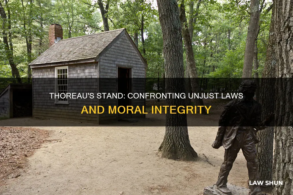 how does thoreau deal with unjust laws that seem immoral
