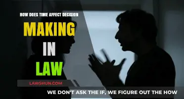 Time's Impact on Legal Decision-Making: Strategies and Consequences