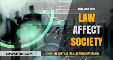 Tort Law's Impact: Shaping Society, Justice, and Individual Rights