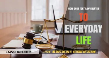 Tort Law's Impact: Everyday Scenarios and Your Legal Rights Explained