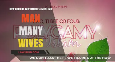 Polygamy in America: Legal Challenges for Muslim Men with Multiple Wives