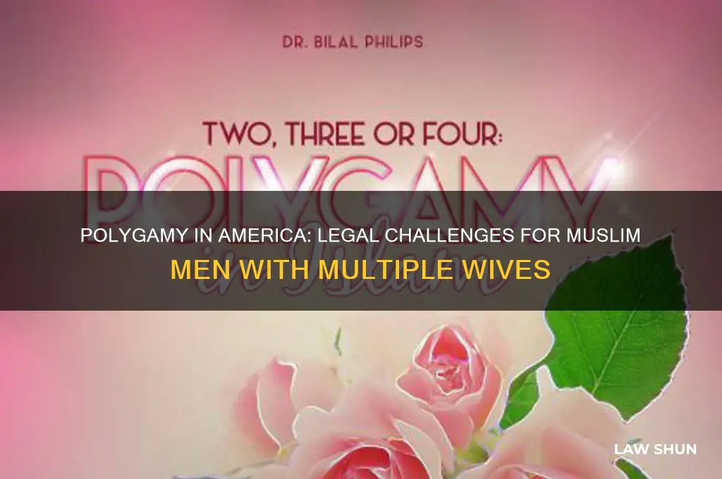 how does us law handle a muslims man many wives