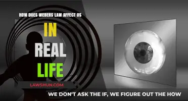 Weber's Law: Real-Life Impact on Perception and Decision-Making