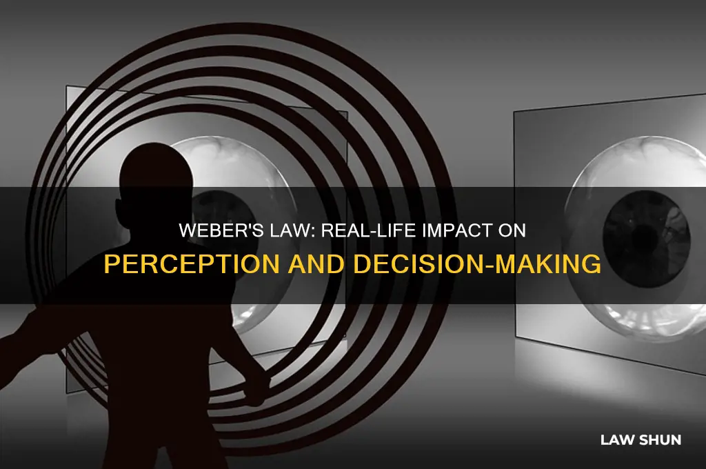 how does webers law affect us in real life