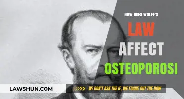 Wolff's Law: Strengthening Bones and Combating Osteoporosis Naturally