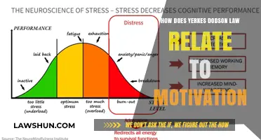 Yerkes-Dodson Law: Unlocking Motivation's Sweet Spot for Peak Performance