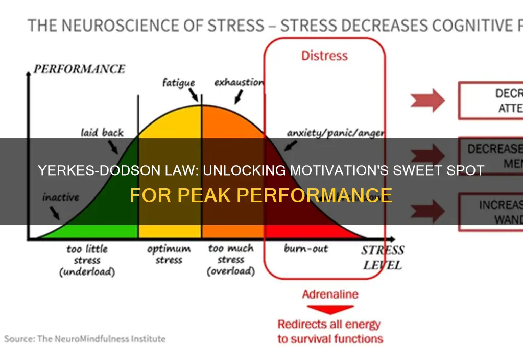 how does yerkes dodson law relate to motivation