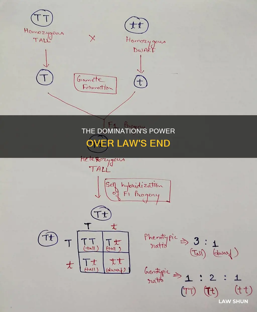 how dominations apply the end of the law