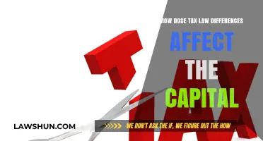 Capital Flows: Tax Law Impact