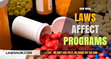 Impact of Drug Laws on Social and Health Programs