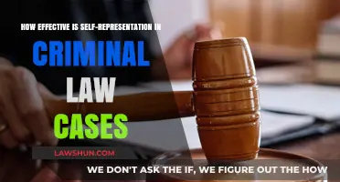 Self-Representation: Criminal Law Cases' Success Rates