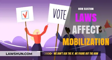 How Election Laws Shape Voter Mobilization Strategies and Outcomes