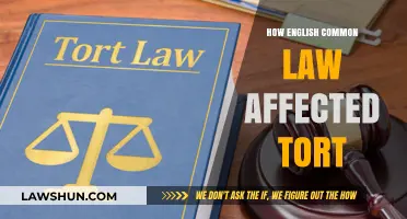 Common Law's Impact on Tort Law Explained