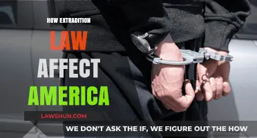 Extradition Laws: Shaping U.S. International Relations and Justice System