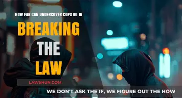 Undercover Cops: What's the Limit of Their Law-Breaking?