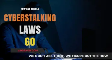 Balancing Privacy and Protection: The Reach of Cyberstalking Laws