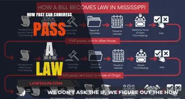 The Speed of Lawmaking in Congress