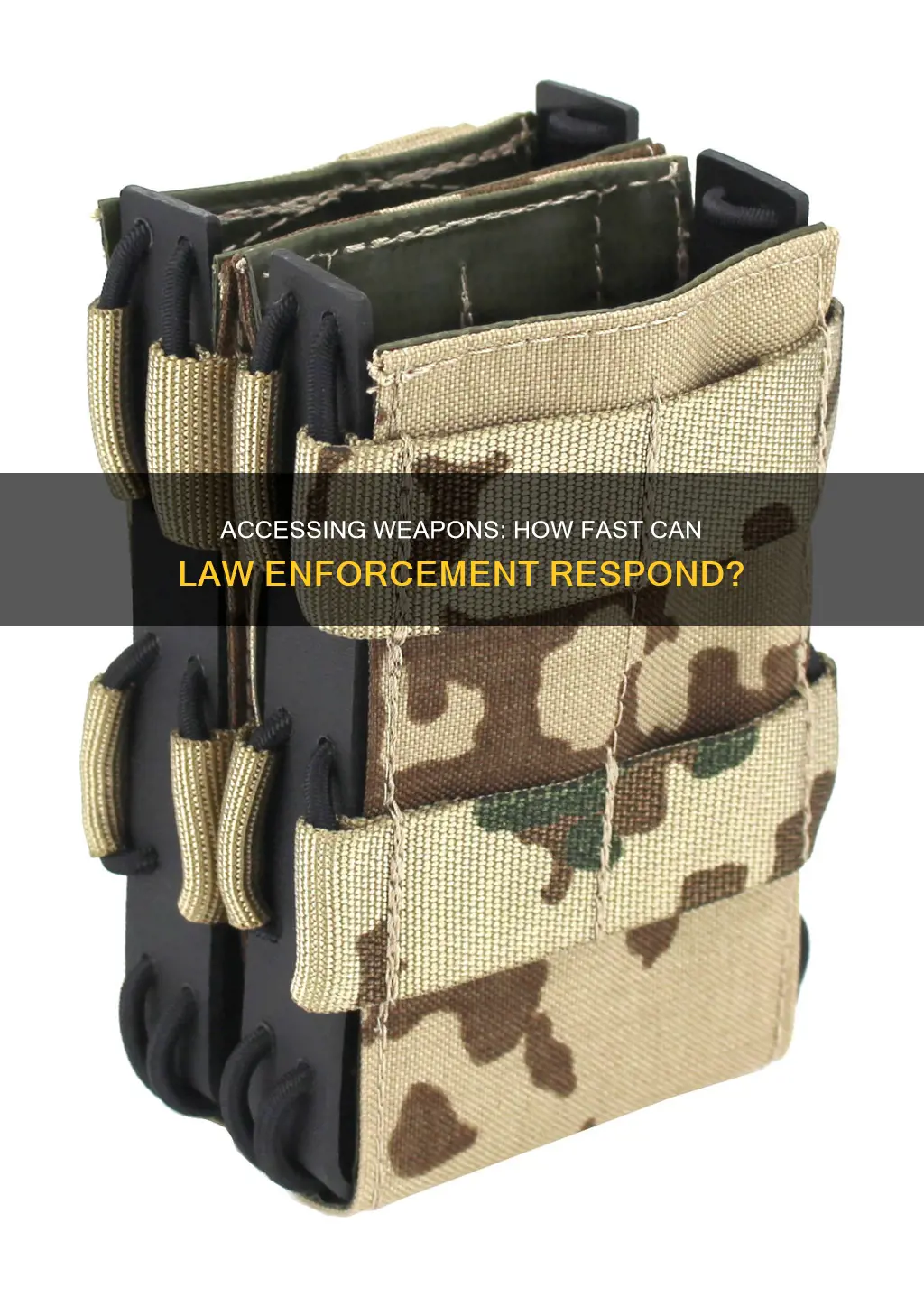 how fast can law enforcement access weapons