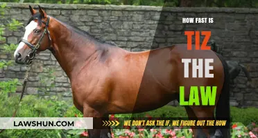 Swift Justice: Unraveling the Speed of Tiz the Law