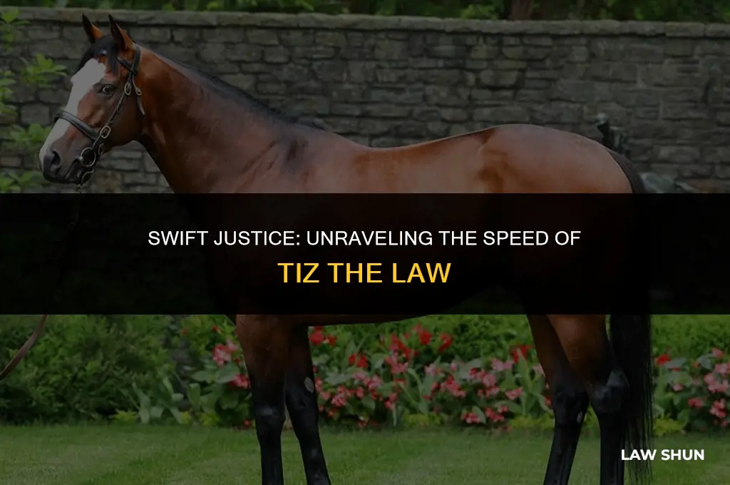 how fast is tiz the law