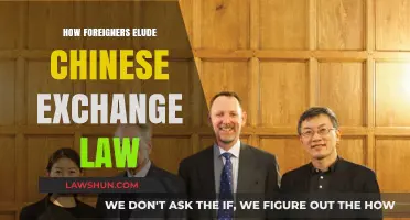 Navigating the Grey Areas: Foreigners and Chinese Exchange Law