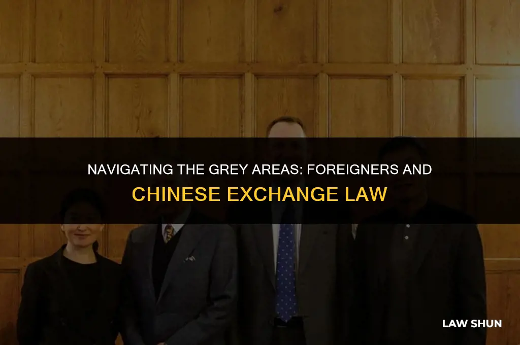 how foreigners elude chinese exchange law