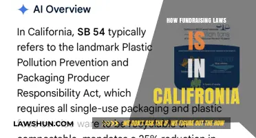 Navigating California's Fundraising Laws: A Comprehensive Guide