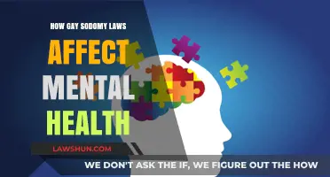 Sodomy Laws' Impact: Mental Health Struggles in the LGBTQ+ Community