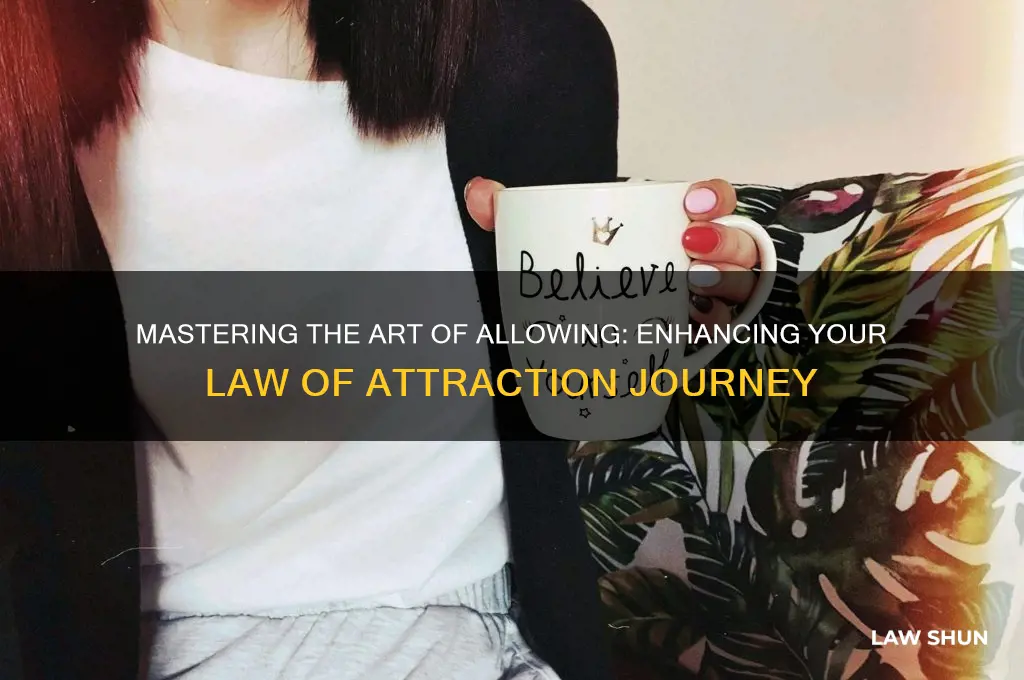 how go allow during law of attraction
