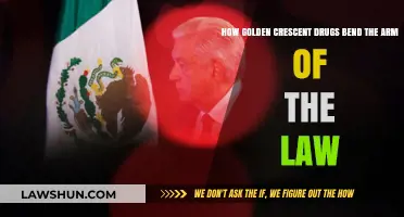 Golden Crescent Drugs: How Cartels Outmaneuver and Corrupt Law Enforcement