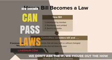 Governors' Lawmaking Powers: How They Work