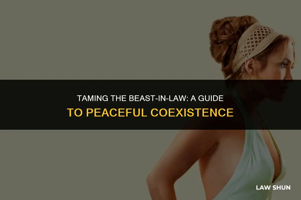 how handle your monster in law