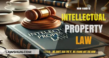Navigating Intellectual Property Law: Challenges and Complexities Explained