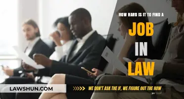 Navigating the Legal Job Market: Challenges and Strategies for Success