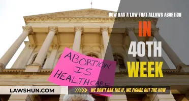 The Late-Term Abortion Law: Exploring the Controversial Legislation