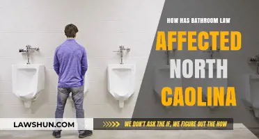 Bathroom Bill's Impact: North Carolina's Economy, Tourism, and Social Divide