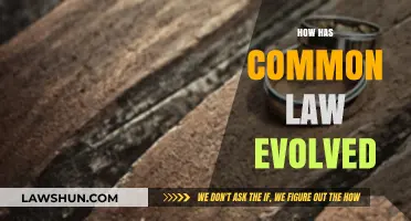The Evolution of Common Law: A Historical Overview